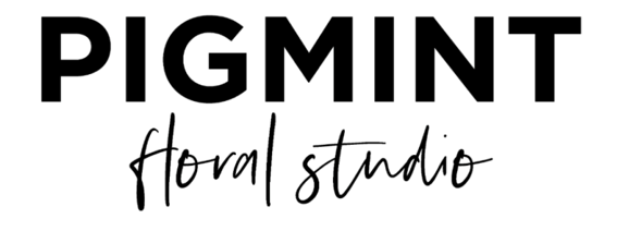 Pigmint Logo